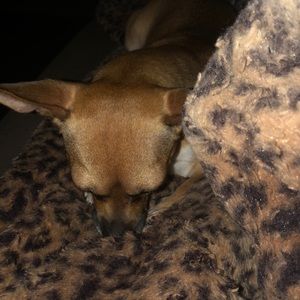 Meet your Posher, Mari